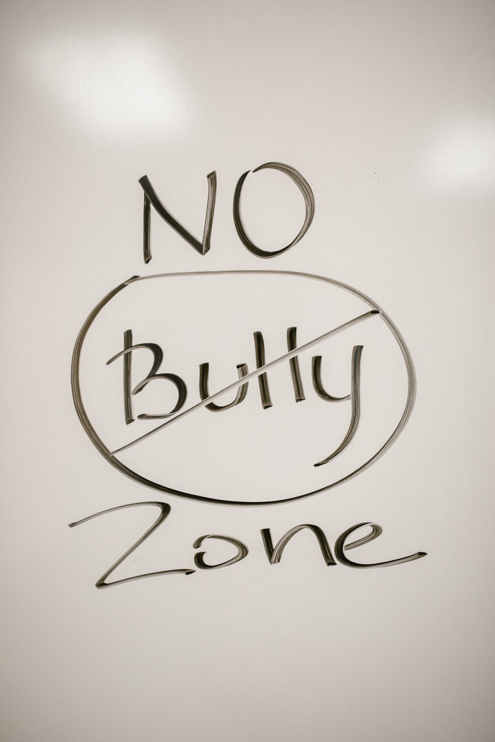 Sign that says "No Bully Zone"