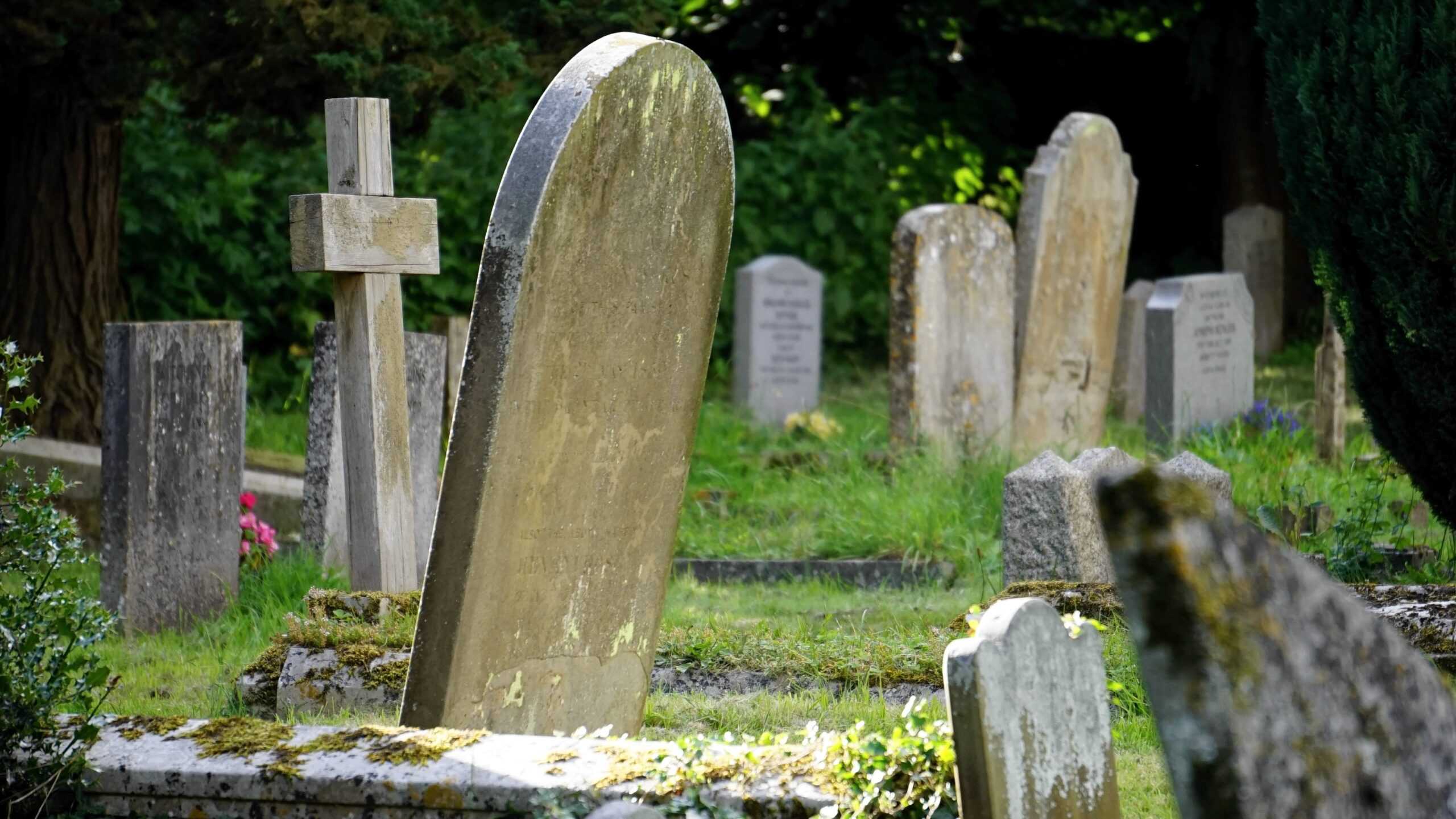 headstones in a cemetary