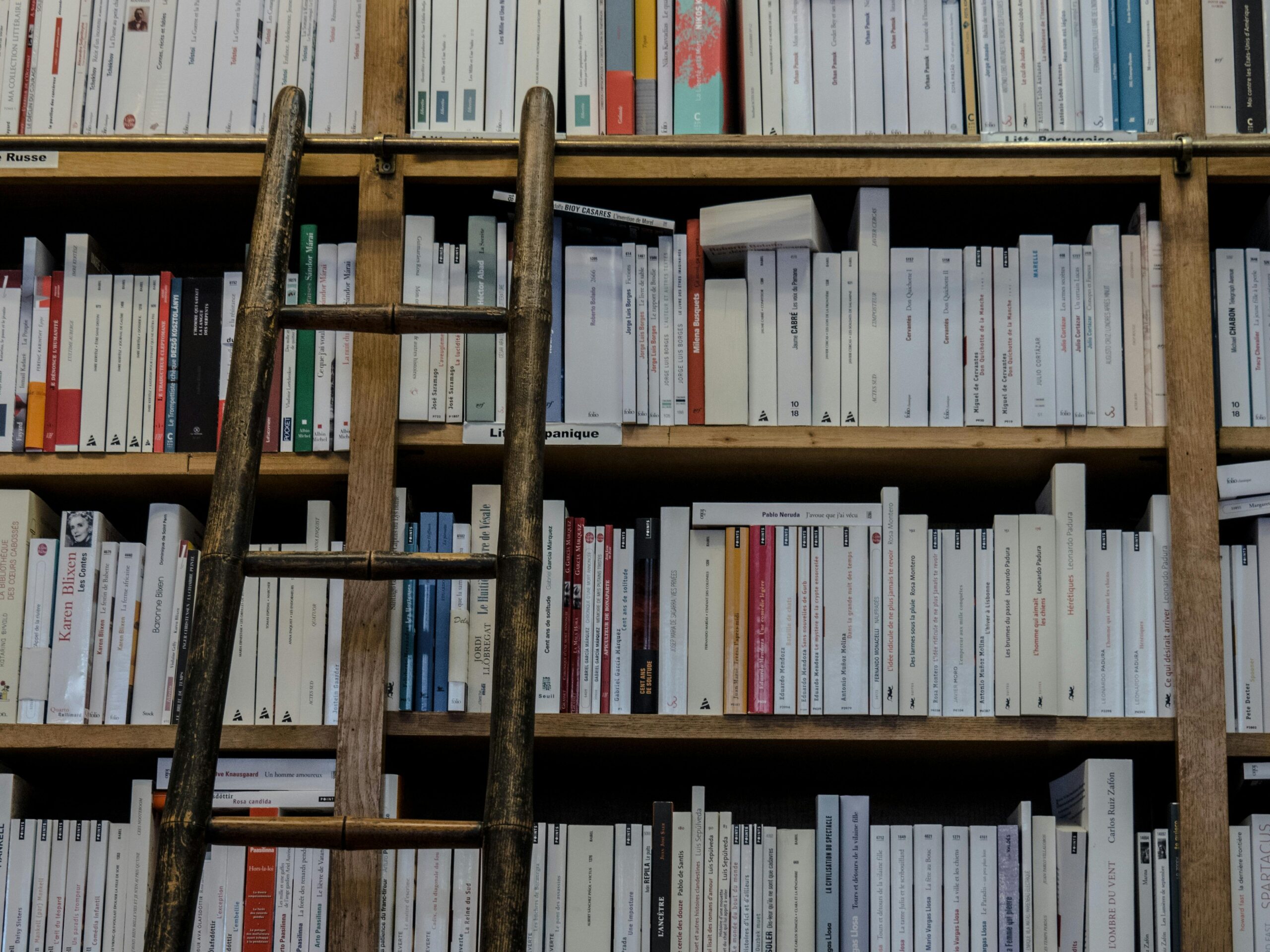 Book shelf with ladder in front of it.